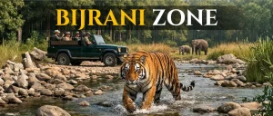Bijrani Zone in jim corbett 