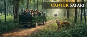 full Canter Safari booking price ranges