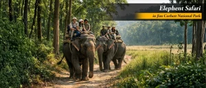Elephent Safari in jim corbett 