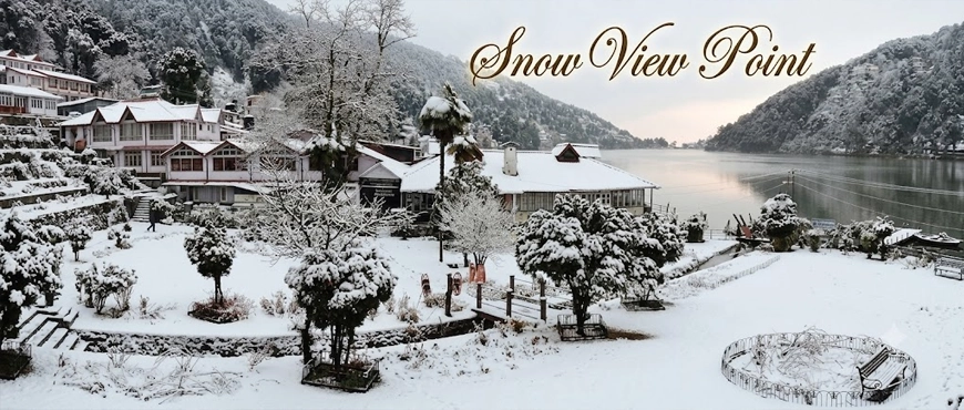 Snow View Point