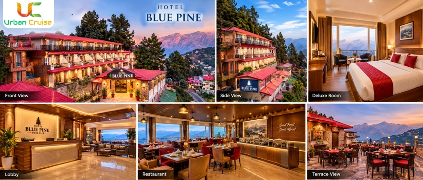 Blue Pine Resort – Comfortable Resort Option